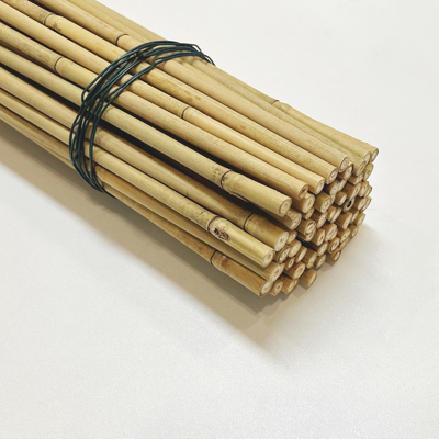 เสาไม้ไผ่ดิบตกแต่งเป็นมิตรกับสิ่งแวดล้อม Dia.0.8cm x 100cm Length