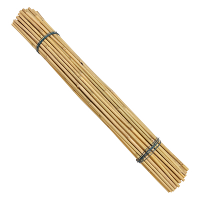เสาไม้ไผ่ดิบตกแต่งเป็นมิตรกับสิ่งแวดล้อม Dia.0.8cm x 100cm Length